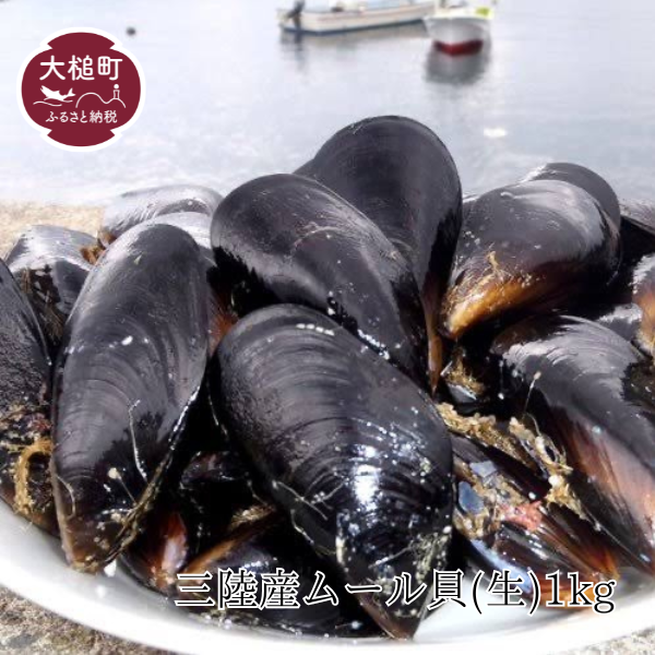 【令和7年1月より発送】三陸産ムール貝(生)1kg(20個前後)岩手県大槌町7000魚介・海産物貝類