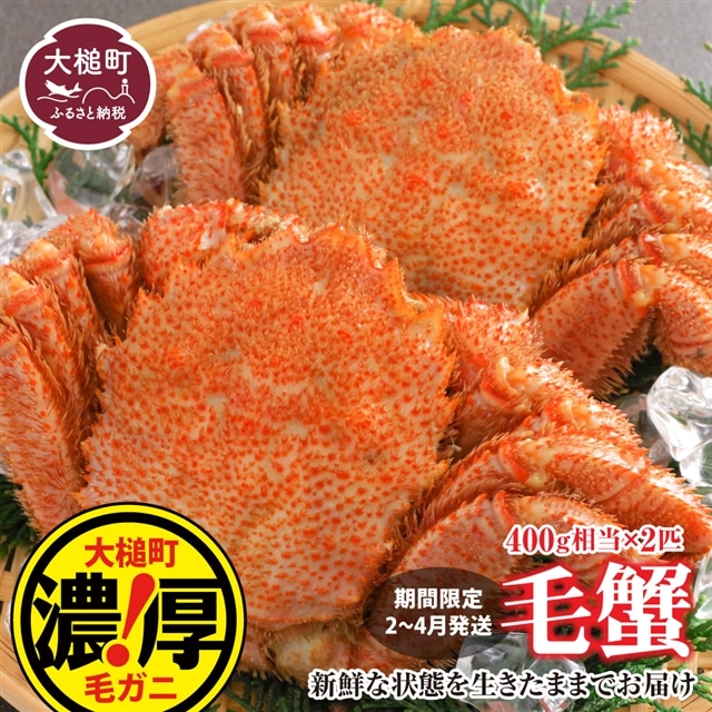 【令和8年発送】三陸産!活毛ガニセット  400g×2杯【2026年2月~4月発送】【配送日指定不可】岩手県大槌町27000魚介・海産物カニ