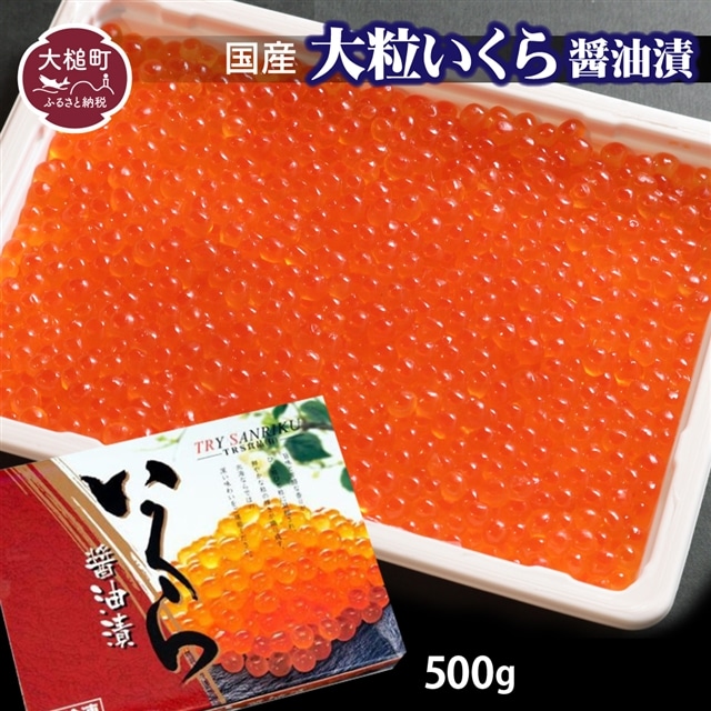 【2025年11月より発送】大粒いくら 醤油漬 500g岩手県大槌町27000魚介・海産物明太子・その他魚卵