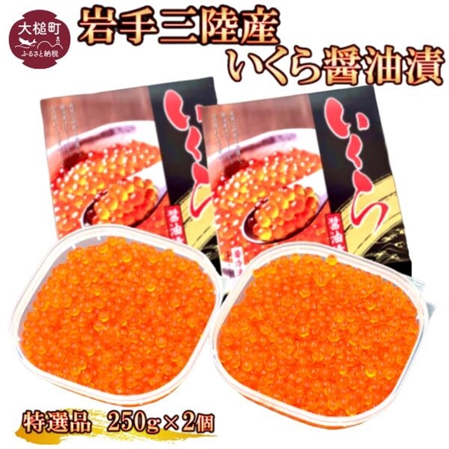 OY嗱ݖ250g×2 pbN茧ƒ32000ECYqȆ