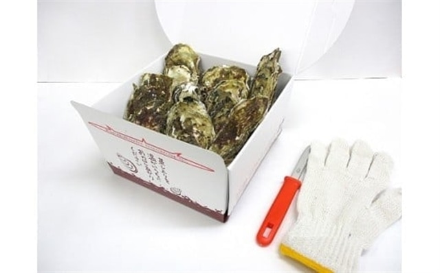 【2025年11月下旬より発送】【レンジでチンするだけ】蒸し牡蠣セット約10個 (約700g)岩手県大槌町11000魚介・海産物貝類