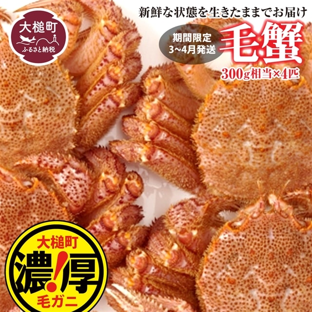 【令和8年発送】三陸産!活毛ガニセット  300g×4杯【2026年2月~4月発送】【配送日指定不可】岩手県大槌町30000魚介・海産物カニ