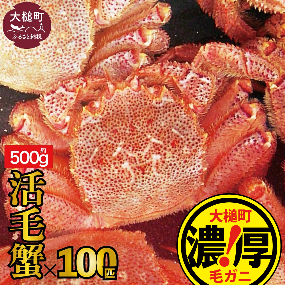 【令和8年発送】三陸産!活毛ガニ  500g × 100 杯【2026年2月~4月発送】【配送日指定不可】岩手県大槌町1670000魚介・海産物カニ