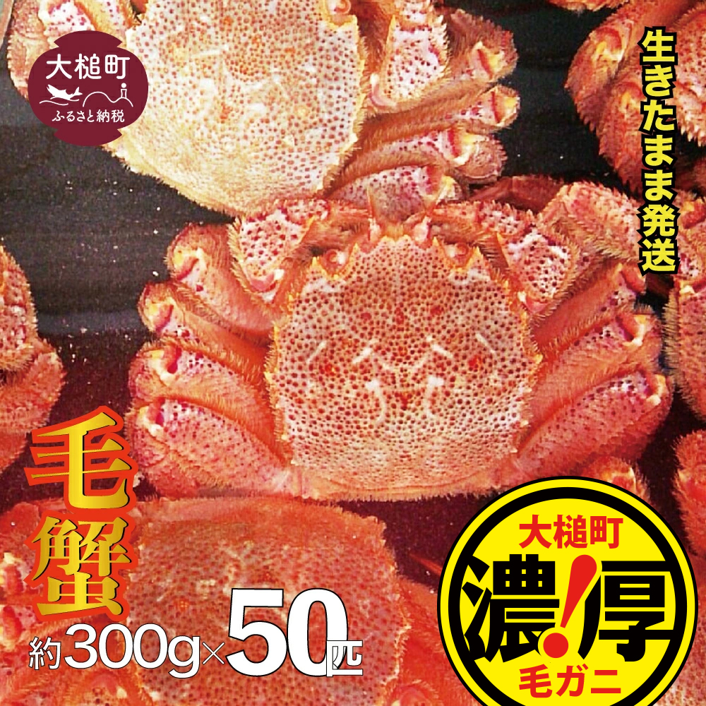 yߘa8NzOYIуKjZbg 300g × 50 ty2026N2~4zyzwsz茧ƒ340000ECYJj