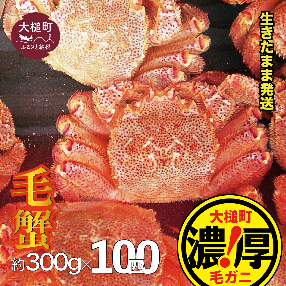 yߘa8NzOYIуKjZbg 300g × 100 ty2026N2~4zyzwsz茧ƒ650000ECYJj