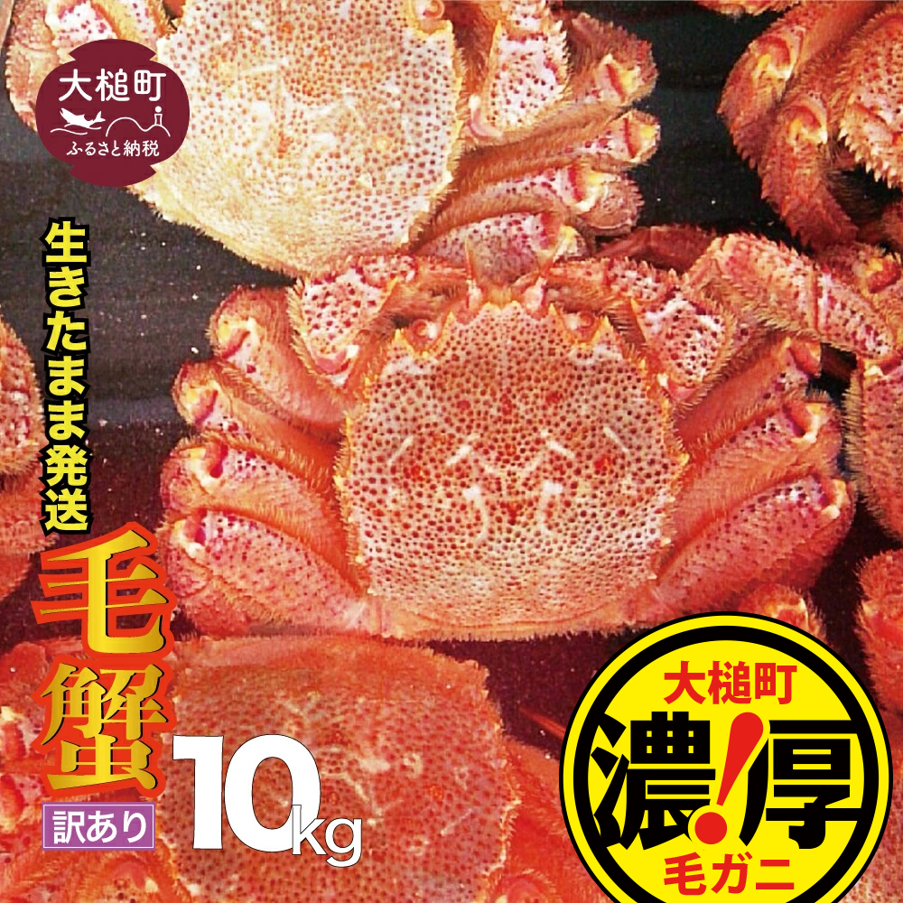 【訳あり】【令和8年発送】三陸産!活毛ガニ 10kg【2026年2月~4月発送】【配送日指定不可】岩手県大槌町210000魚介・海産物カニ