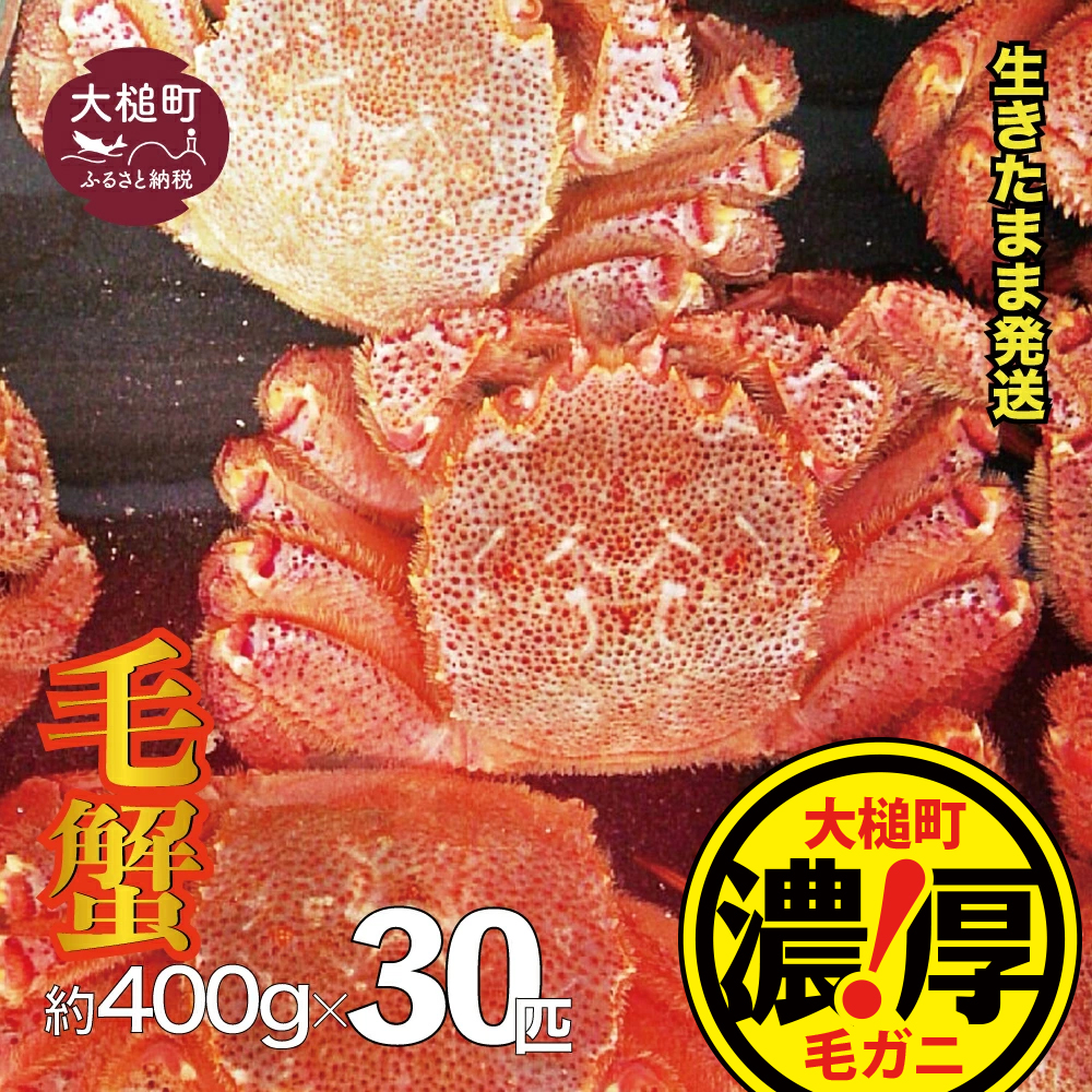 【令和8年発送】三陸産!活毛ガニセット 400g × 30杯【2026年2月~4月発送】【配送日指定不可】岩手県大槌町360000魚介・海産物カニ