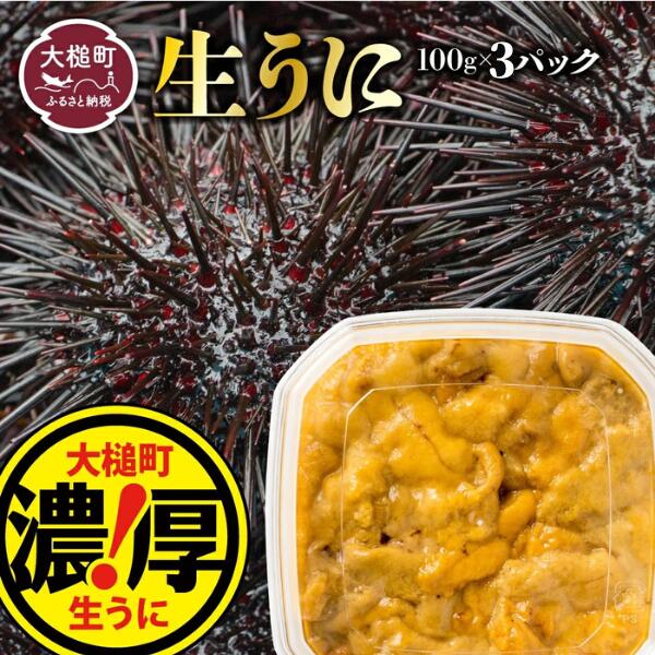 【令和8年発送先行予約】 朝獲れ 天然生うに 100g×3個 【2026年5月上旬〜8月発送】【05】岩手県大槌町36000魚介・海産物イカ・タコ・ウニ