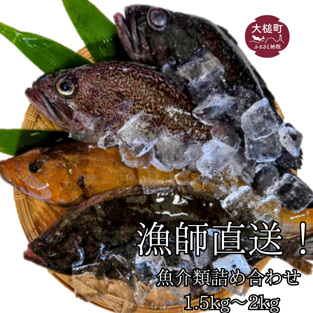 tICނ̋lߍ킹 1.5kg`2kg yIWiNAt@CtzyԌ1`3z茧ƒ13000ECY̑ ECY