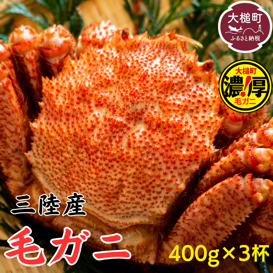 【令和8年発送】【期間限定2026年3月〜4月発送】三陸産 三陸活毛ガニ 400g×3杯【配送日指定不可】【05】岩手県大槌町40000魚介・海産物カニ