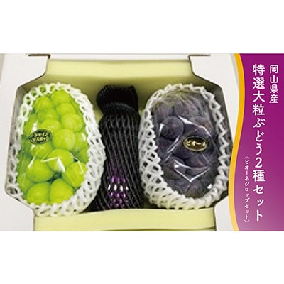1063.【先行受付】特選大粒ぶどう2種とピオーネシロップセット(10月初旬〜12月発送予定)【1488999】岡山県新庄村30000果物・フルーツマスカット・ぶどう