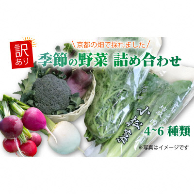 訳あり 季節の野菜セット4〜6品詰め合わせ【1613720】京都府久御山町8000野菜・きのこその他 野菜