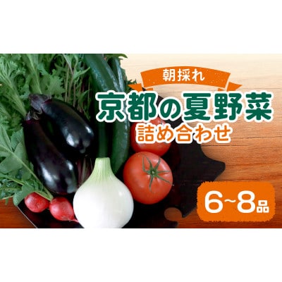 夏野菜 6〜8種 セット 京都府久御山町【配送不可地域:離島】【1623427】京都府久御山町10000野菜・きのことうもろこし