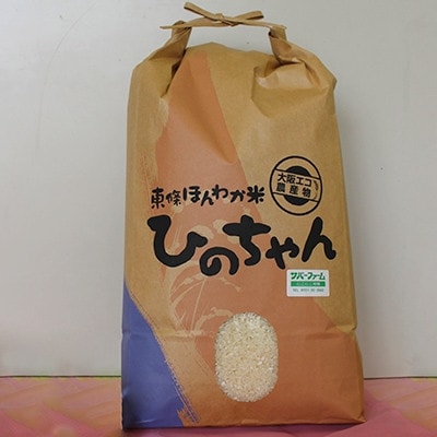 東條ほんわか米『ひのちゃん』6kg(令和5年度産)【1344443】大阪府富田林市12000米・パン白米