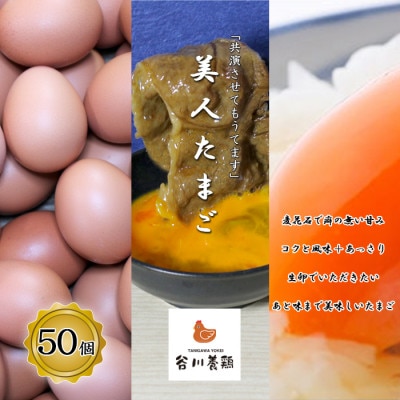 【生みたて濃厚】谷川養鶏の美人たまご 50ヶ入り(※サイズ指定できません)【配送不可地域:離島】【1390274】大阪府富田林市13000卵・乳製品卵(鶏、烏骨鶏等)