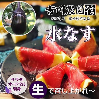 【産地直送】古川農園 「水なす」そのまま食べられる生野菜でお届け!2個入×10袋【1484515】大阪府富田林市12000野菜・きのこその他 野菜