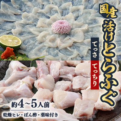 ふぐ鍋セット 国産活けとらふぐてっさ・てっちりセット約4〜5人前 ヒレ付き【配送不可エリア注意】【配送不可地域:離島・北海道・沖縄・東北・関東・九州】【1517411】大阪府富田林市