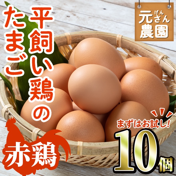 お試し用＞ 平飼い赤鶏のたまご (計10個) 元さん農園 卵 玉子 卵かけご飯 玉子焼き 平飼い 鶏 鶏卵 養鶏場直送送 朝採れ 新鮮 大分県 佐伯市  【GE002】【 (株)海九】 | 大分県佐伯市 | JRE MALLふるさと納税