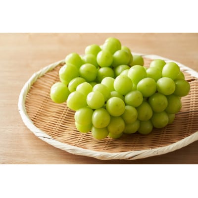 y8㒆{菇zmY@VC}XJbg@2kgyzsnFzy1289433zm݂悵s26000ʕEt[c}XJbgEԂǂ