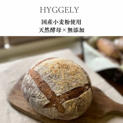 愛知県産こだわりの石窯焼きプレミアムカンパーニュ1個【配送不可地域:離島】【1578331】愛知県みよし市6000米・パンパン