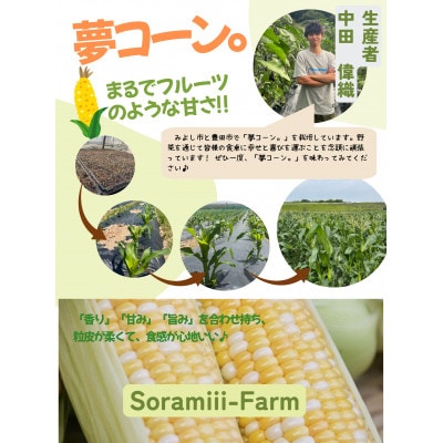【2025年度】愛知県みよし市産 朝採り「夢コーン。」Lサイズ20本セット 数量限定【配送不可地域:離島・沖縄】【1623771】愛知県みよし市23000野菜・きのことうもろこし