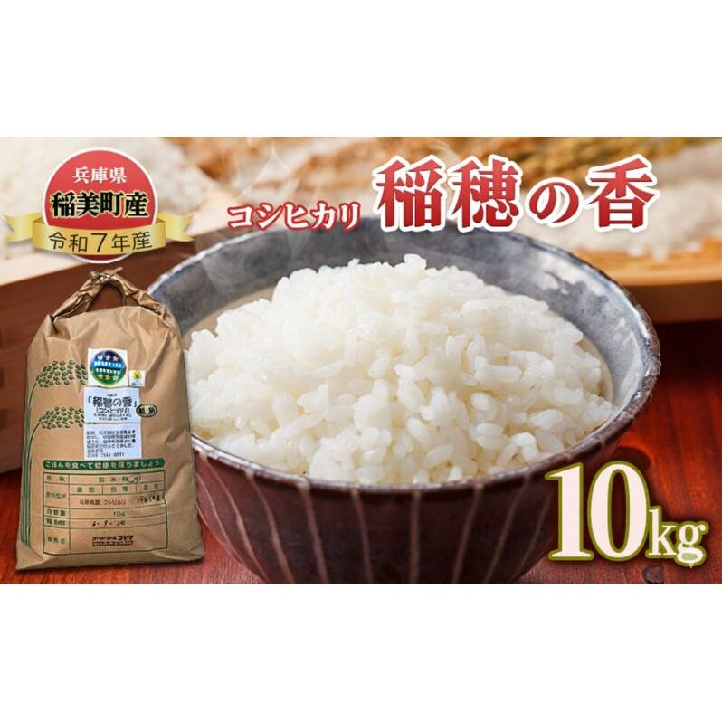 【令和7年産 新米】米 コシヒカリ 稲穂の香 10kg 精米 白米 お米 こめ コメ 最高級米 ご飯 ごはん こしひかり 兵庫県産 兵庫 兵庫県 稲美町兵庫県稲美町36000米・パン白米