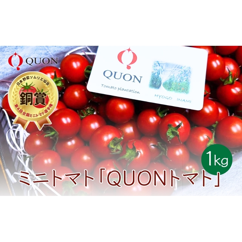 ~jg}g u QUONg}g v1kg ϔ[ QUON Â g}g uÉؔT x v[g I茠  ]Ɍ18000؁Êg}g