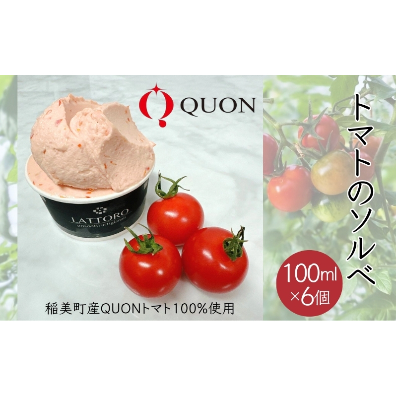 QUON g}g̃\x 6[ ACX \x ACXN[ ]Ɍ16000َqEXC[cACXEWF[g