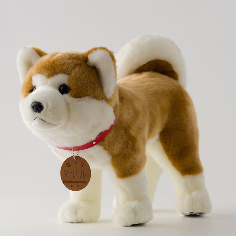 165P7303 Hc}Tʂ LTCYHcَs33000G݁EpiEʂ
