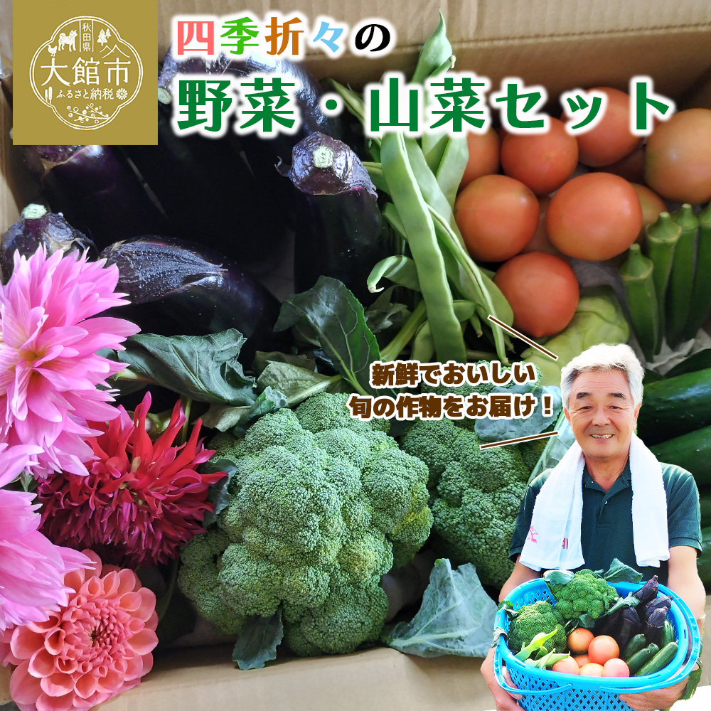 四季折々の野菜・山菜セット(5品目ほど) 45P3203秋田県大館市9000野菜・きのこ
