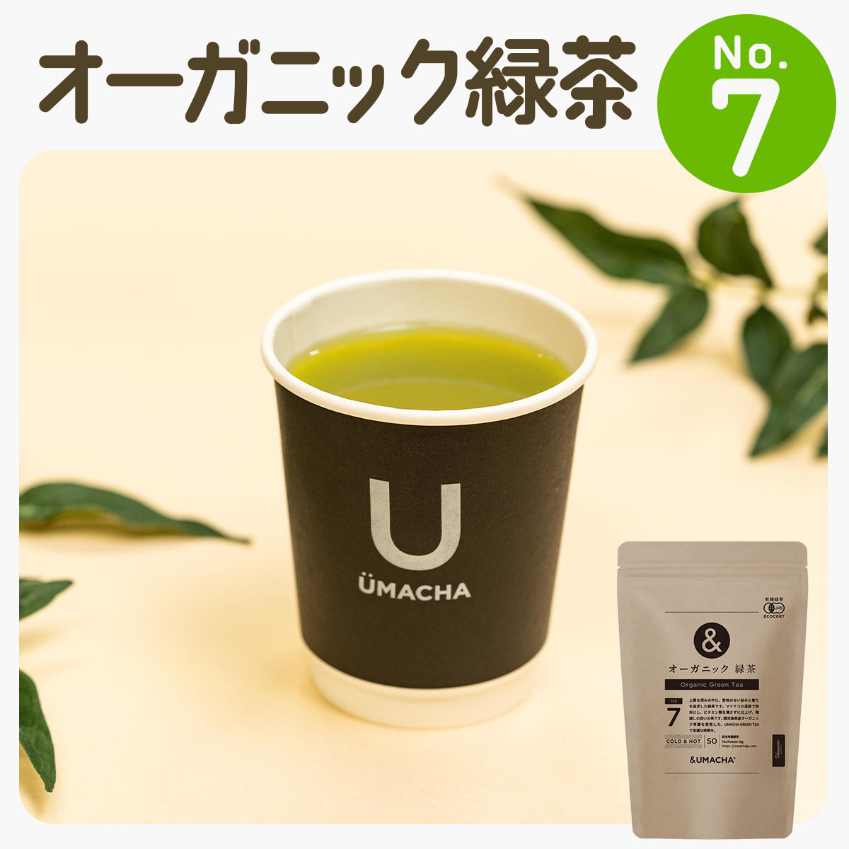 【ORGANIC TEA】No.7 オーガニック緑茶 50P5721秋田県大館市10000鍋セット・総菜・加工食品