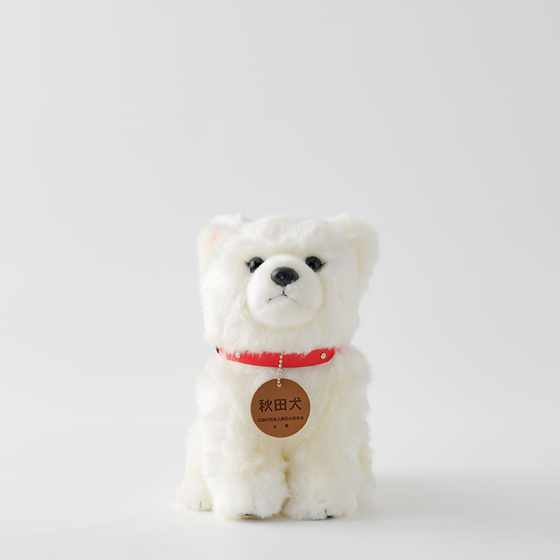 65P7304 秋田犬白毛(鼻黒)ぬいぐるみ 座りMサイズ秋田県大館市13000雑貨・日用品おもちゃ・ぬいぐるみ
