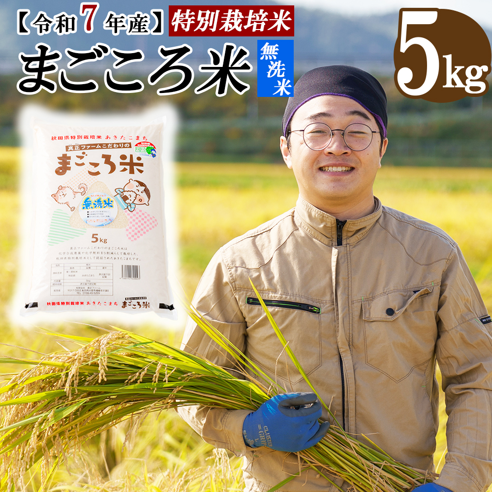 【令和7年産先行受付】秋田県特別栽培米あきたこまち「まごころ米(無洗米)」 5kg(5kg×1袋) 80P9204秋田県大館市16000米・パン無洗米