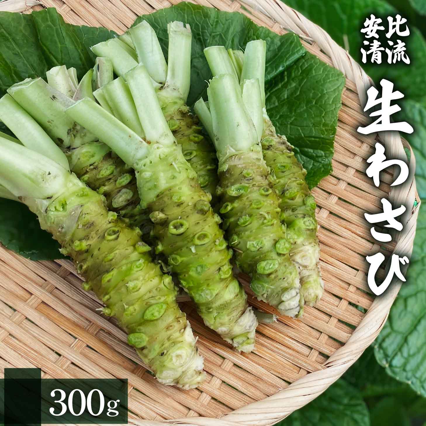 AE-002-C 生わさび 300g 【安比清流山葵園】岩手県八幡平市14000野菜・きのこその他 野菜