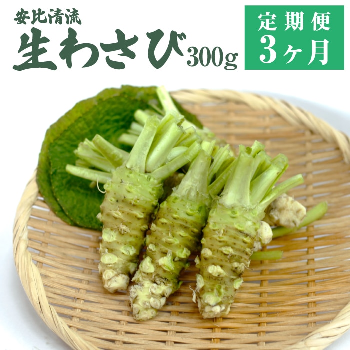 AE-005-C 生わさび 300g定期便3ヶ月 【安比清流山葵園】岩手県八幡平市42000野菜・きのこその他 野菜