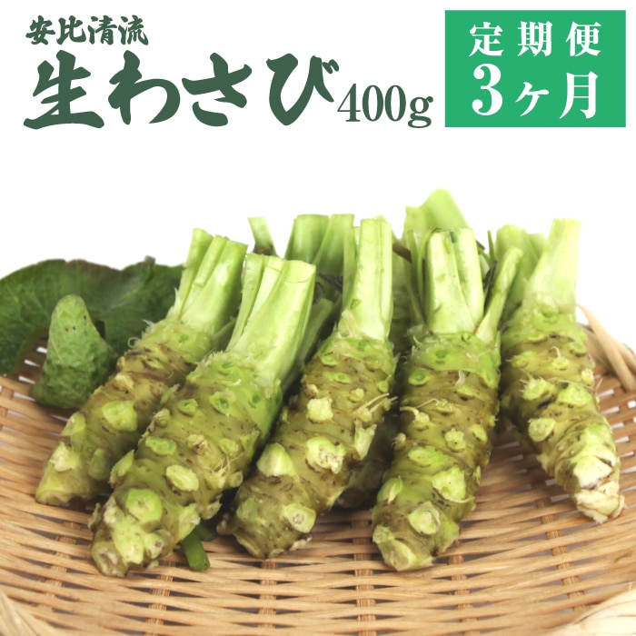 AE-006-B 킳 400g3 y䐴Rz茧s63000؁Ê̑ 
