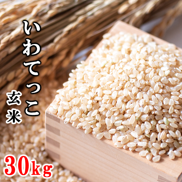 AQ-008-F いわてっこ 玄米 30kg / 十一代目藤助岩手県八幡平市81000米・パン玄米・雑穀米・もち米・餅