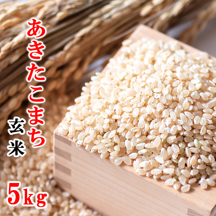 AQ-012-F あきたこまち 玄米 5kg / 十一代目藤助岩手県八幡平市15000米・パン玄米・雑穀米・もち米・餅