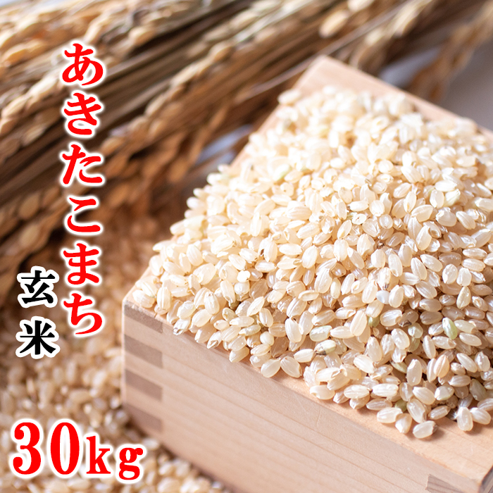 AQ-015-F あきたこまち 玄米 30kg / 十一代目藤助岩手県八幡平市81000米・パン玄米・雑穀米・もち米・餅