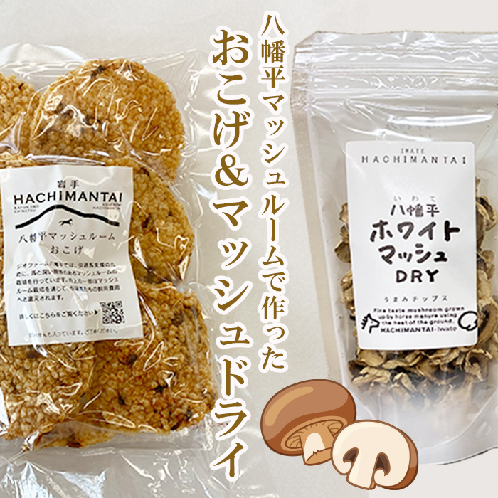 B-018 }bV[zCg}bVDRY̋l茧s14000؁Ê̂