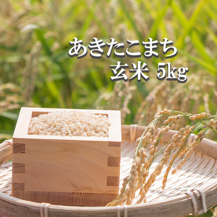 BO-005-E ܂  5kg ^ ̂茧s15000āEpāEGāEāE