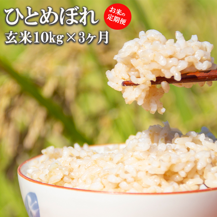BO-016-E ひとめぼれ 玄米 10kg×3ヶ月定期便 / かきのうえ岩手県八幡平市81000米・パン玄米・雑穀米・もち米・餅