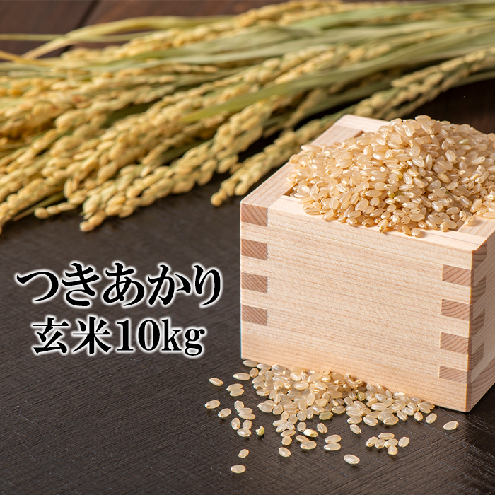 BO-022-E   10kg ^ ̂茧s26000āEpāEGāEāE