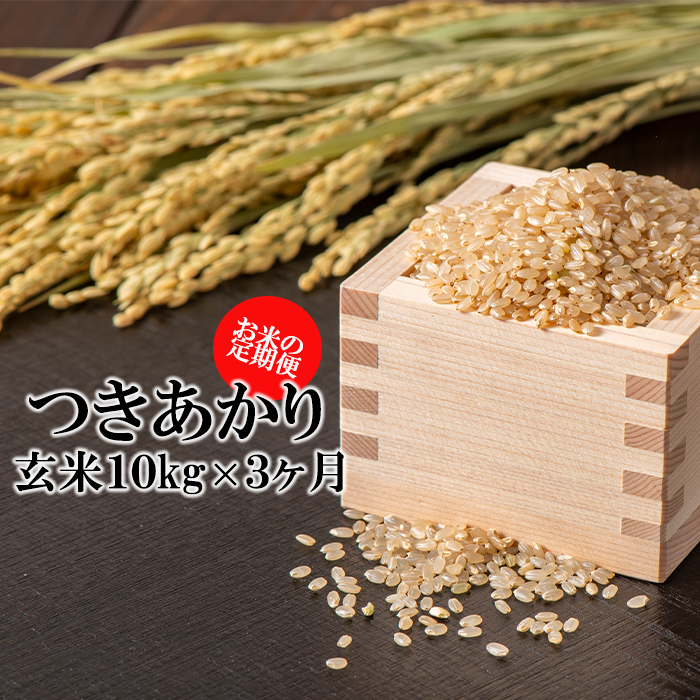 BO-024-E つきあかり 玄米 10kg×3ヶ月定期便 / かきのうえ岩手県八幡平市78000米・パン玄米・雑穀米・もち米・餅