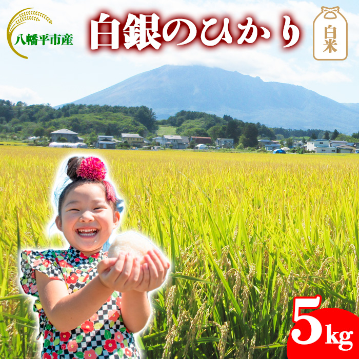 BO-038-E 白銀のひかり 精米 5kg / かきのうえ岩手県八幡平市17000米・パン白米