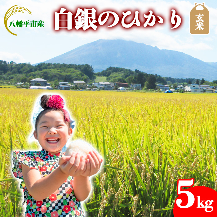 BO-040-E 白銀のひかり 玄米 5kg / かきのうえ岩手県八幡平市15000米・パン玄米・雑穀米・もち米・餅