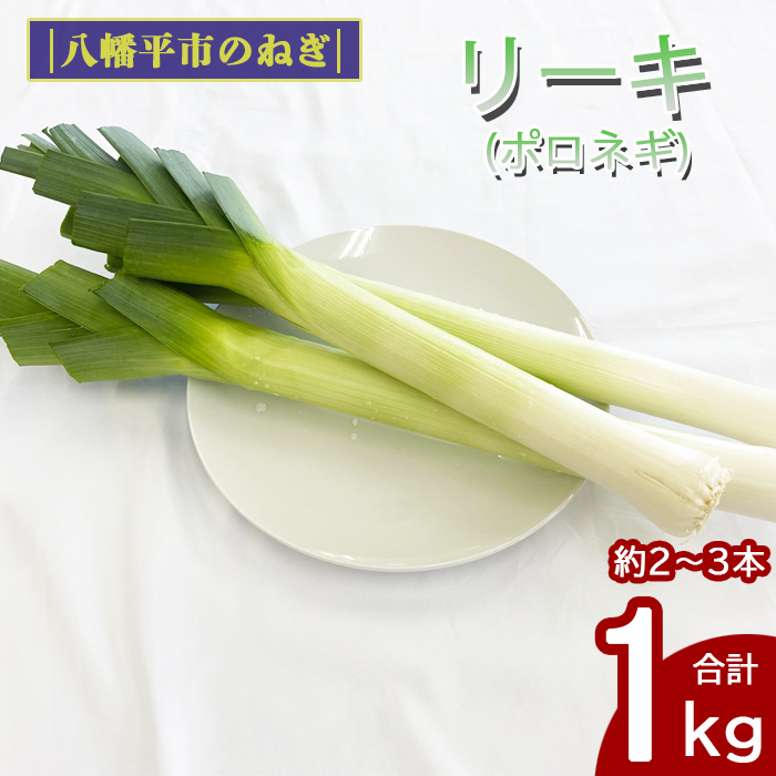 CA-004-A リーキ(ポロネギ)1kg【みのり風土】岩手県八幡平市8000野菜・きのこ玉ねぎ・ねぎ