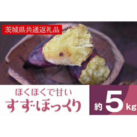 ホクホクで甘いさつまいも すずほっくり5kg(茨城県共通返礼品・行方市産)(AK205)茨城県北茨城市13000野菜・きのこじゃがいも・イモ類