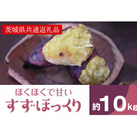 ホクホクで甘いさつまいも すずほっくり10kg(茨城県共通返礼品・行方市産)(AK206)茨城県北茨城市21300野菜・きのこじゃがいも・イモ類
