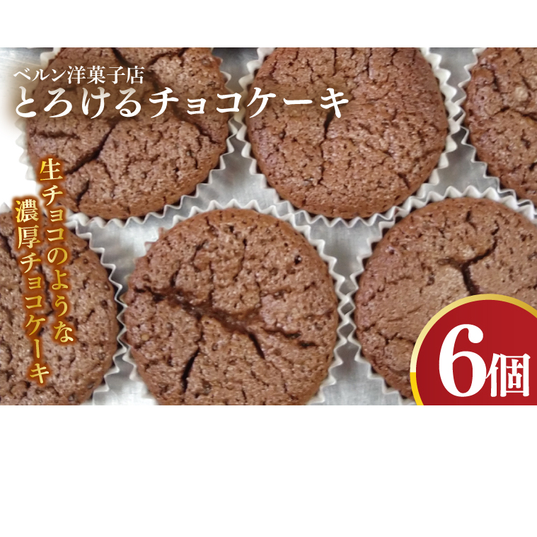 とろけるチョコケーキ【チョコレート 生チョコ 濃厚 おやつ プレゼント】(CK203)茨城県北茨城市6500菓子・スイーツケーキ・カステラ